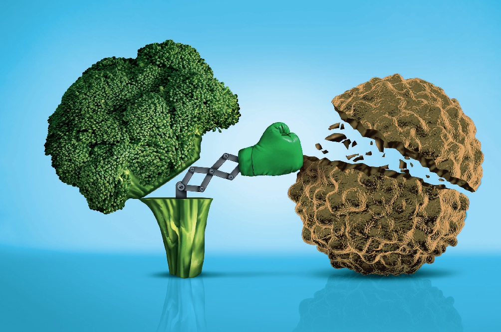 Má Nutrição Compromete Tratamento do Câncer e Atrasos Afetam 1 em Cada 3 Pacientes